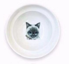 Comedor y bebedero ergonómico para gatos.
