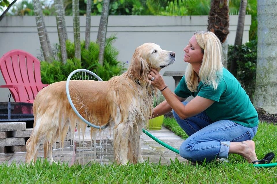 Ducha para Perros con Pistola Circular de Agua