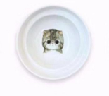 Comedor y bebedero ergonómico para gatos.